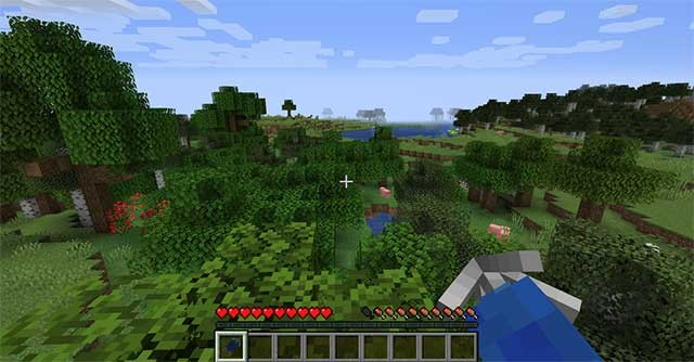 Trong Hookshot Mod, bạn sẽ sở hữu một công cụ đặc biệt giống như nỏ