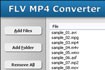 HooTech FLV to MP4 Converter - Download & Convert