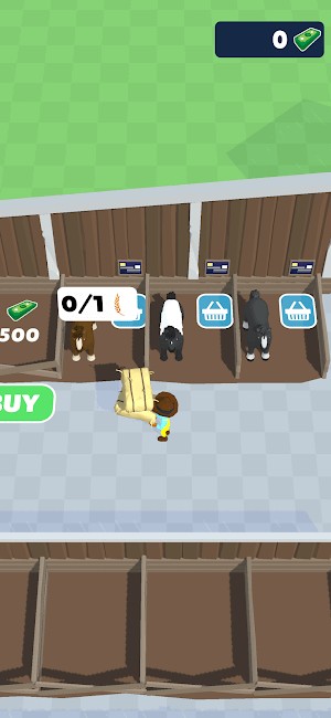 Chăm sóc và phát triển ngựa