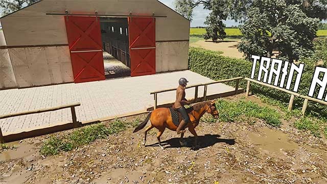 Tham gia các khóa học cưỡi ngựa để củng cố kỹ năng của bạn