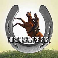 Horse Shelter - Game Huấn Luyện & Đua Ngựa