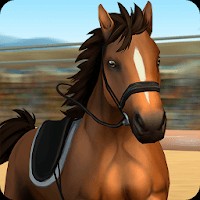Horse World - Show Jumping Android: Game Mô Phỏng Đua Ngựa