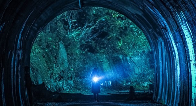 Howling Village: Echo PC là game Ngôi làng tử khí dựa trên bộ phim ma cùng tên