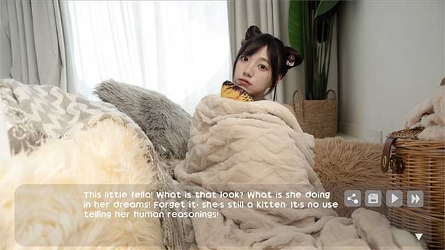 Sử dụng camera để ghi lại những khoảnh khắc đáng nhớ của các nàng mèo