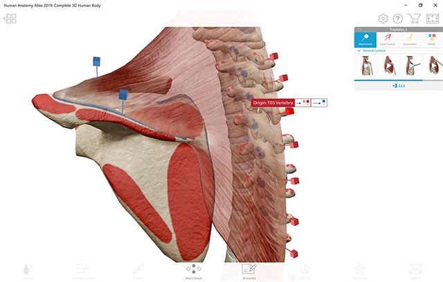 Cung cấp các định nghĩa cụ thể cho từng khái niệm
