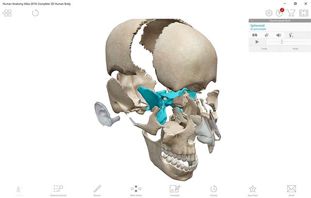 Hình ảnh mặt cắt 3D cho từng bộ phận