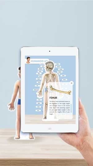 Cập nhật kiến thức về các cơ quan trong cơ thể người