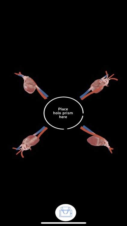 Humanoid 4D+ cho phép bạn tương tác với từng cơ quan cụ thể của cơ thể con người