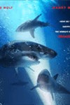 47 Meters Down - Hung thần đại dương | Phim kinh dị, hành động
