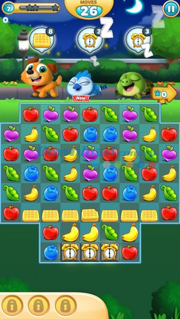 Chăm sóc thú cưng