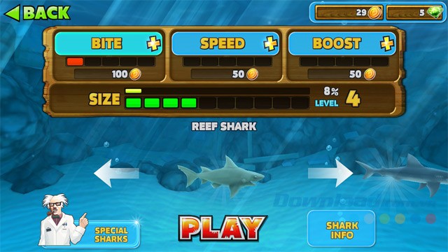 Nâng cấp các chỉ số cho cá mập