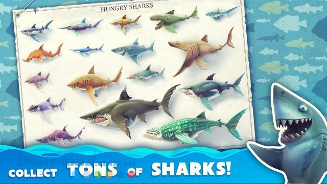 Bộ sưu tập cá mập của game Hungry Shark World