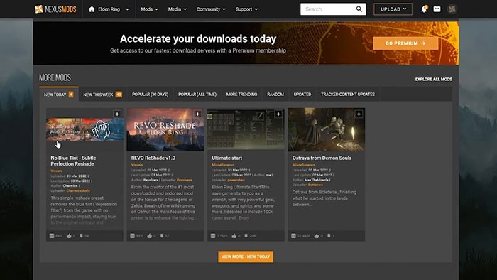 Hướng dẫn cài đặt mod Elden Ring đơn giản, nhanh chóng
