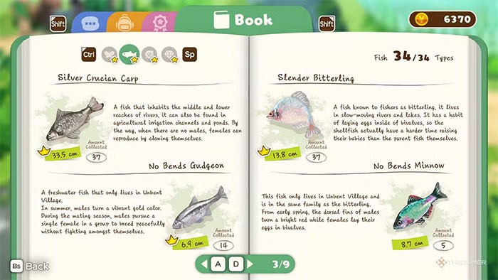 Hướng dẫn câu cá trong Shin chan: Shiro & Coal Town