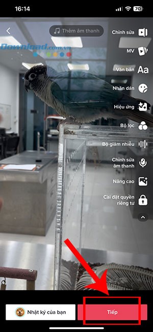 TikTok trickster voice 7*407903