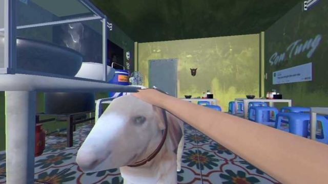 Chăm sóc Cậu Vàng