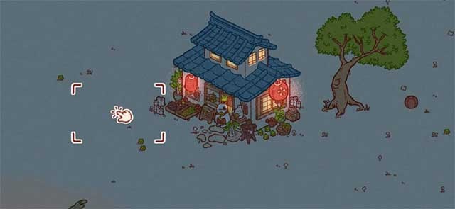 Tương tác với những chú thỏ dễ thương