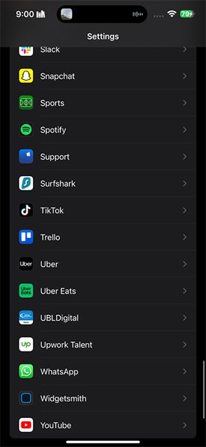 Apple Sports 10*460300