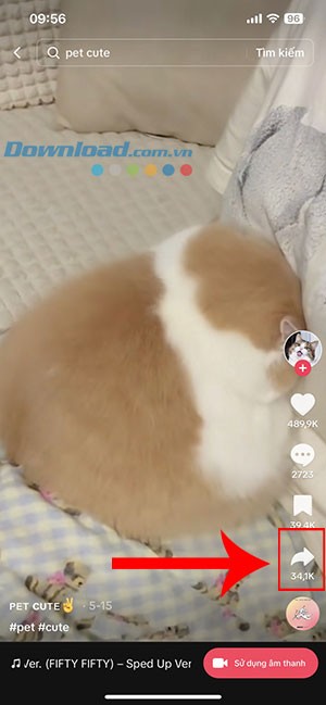 Cách Đặt Nhạc TikTok Làm Nhạc Chuông iPhone | Hướng Dẫn Chi Tiết