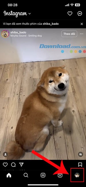 Cách Thêm Danh Xưng Vào Tiểu Sử Instagram | Hướng Dẫn Chi Tiết