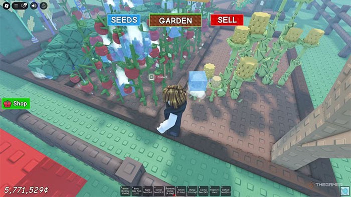 All Weather Types in Grow A Garden