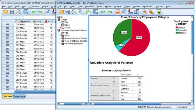 Giao diện IBM SPSS