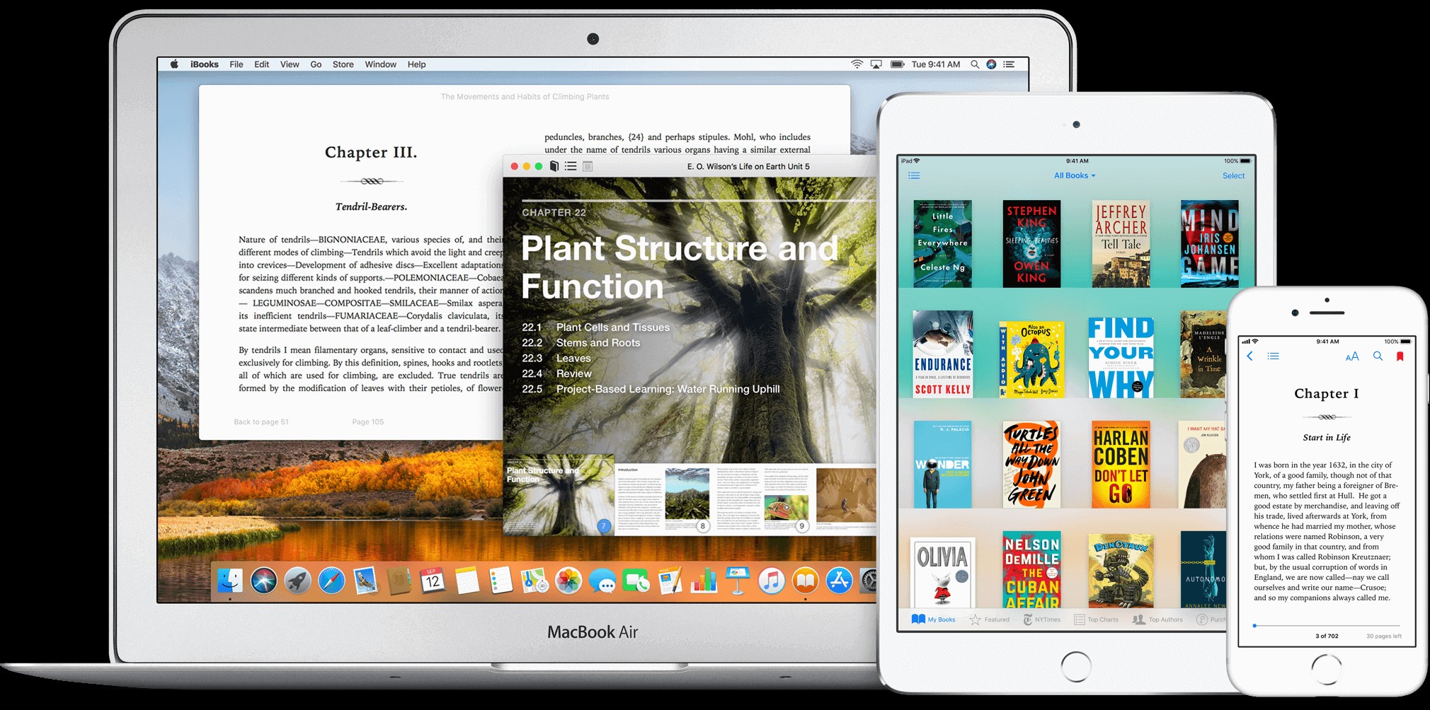 Giao diện iBooks