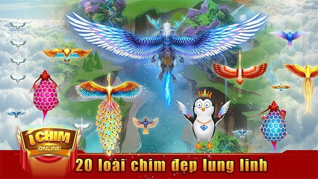 20 loài chim đẹp