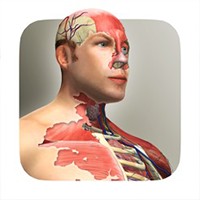 Idle Human iOS 1.3: Khám phá cơ thể người qua game idle