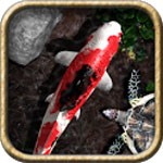 Pocket Pond 2 iOS 1.4.4: Game Nuôi Cá V ảo Sinh Động