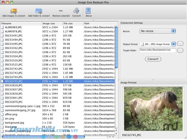 Thông tin ảnh và các tính năng đơn giản