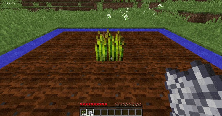 Mod thu hoạch nhanh