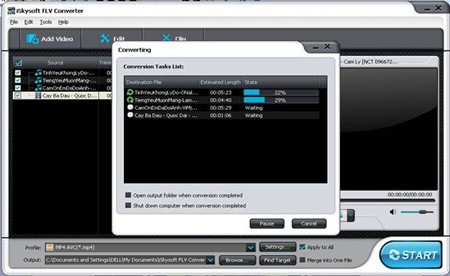 iSkysoft FLV Converter