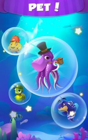 Rất nhiều thú cưng