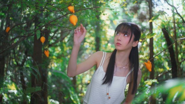 Thám hiểm hòn đảo với rất nhiều địa điểm, hoạt động và sự kiện thú vị