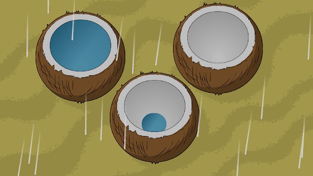 Hứng nước mưa để tránh bị khát