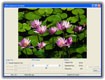 JPEG Optimizer Pro - Optimize Images for Web