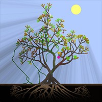 Kasi 1.5.0: Game Mô Phỏng Vòng Đời Cây