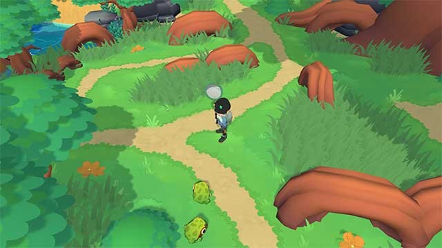 Tìm hiểu thói quen của các loài ếch và trở thành thợ săn bậc thầy