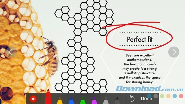 Vẽ hình bằng tay