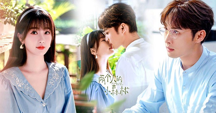 Poster phim Khu rừng nhỏ của hai người