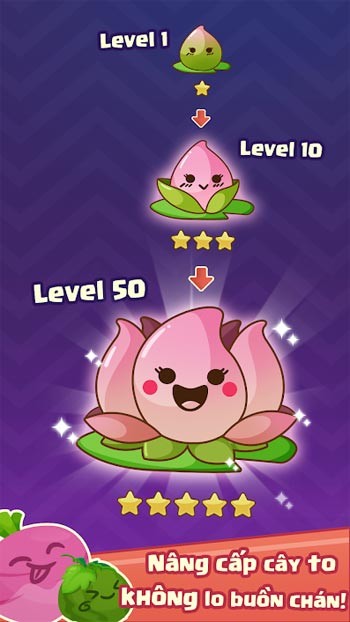 Nâng cấp cây