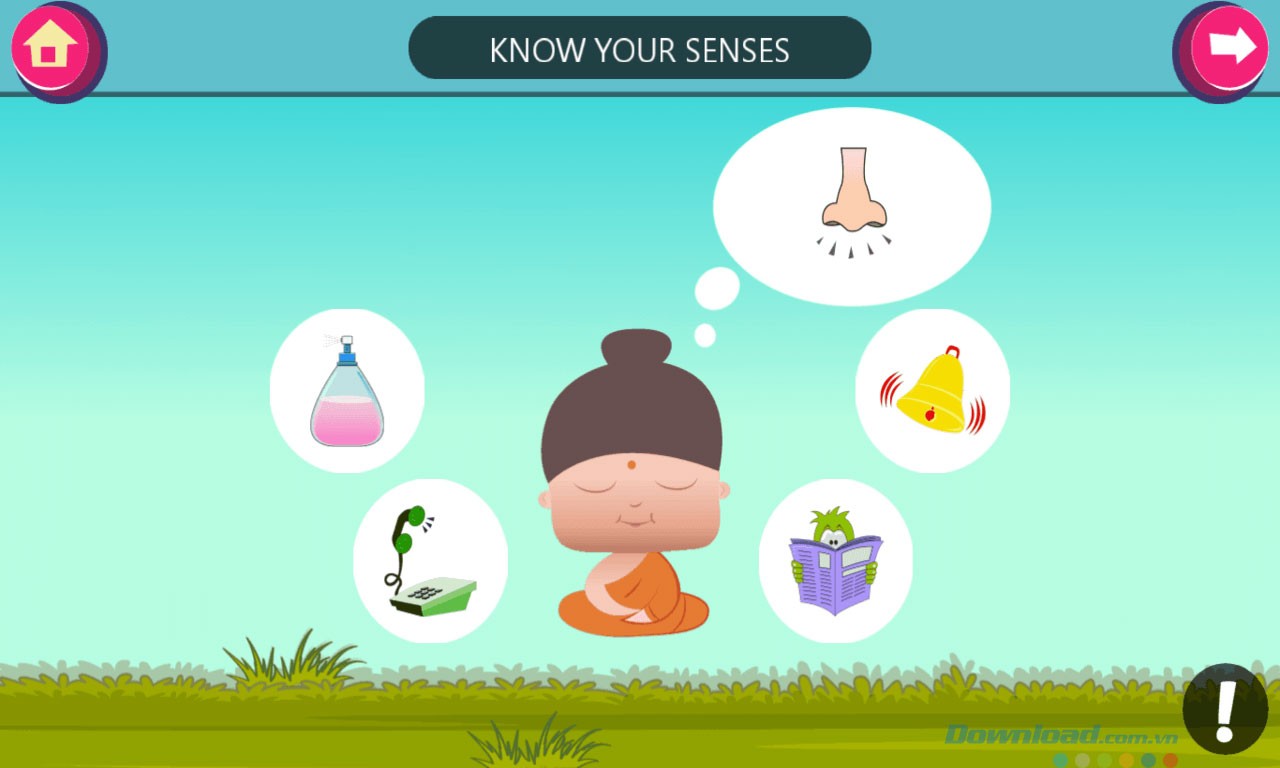 Nhận thức về giác quan