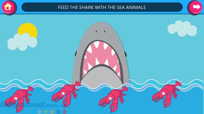 Làm quen với nhiều động vật, hình ảnh