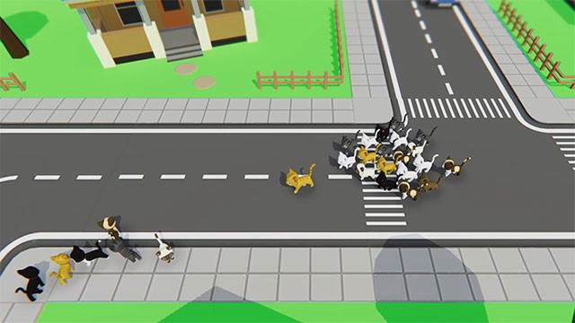 Thu thập những chú mèo vào đội của bạn càng đông càng tốt