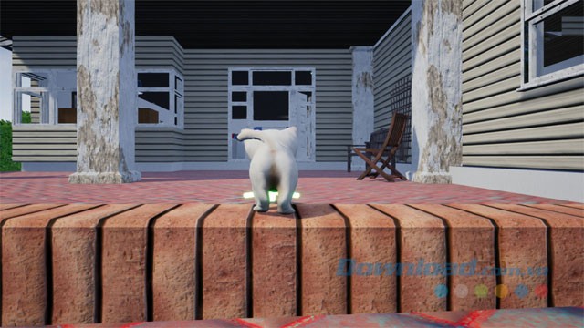 Điều khiển mèo con