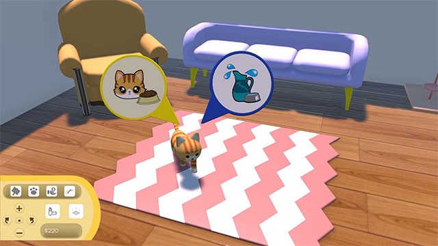 Chăm sóc các nhu cầu cơ bản của mèo như ăn uống, ngủ nghỉ, vui chơi...