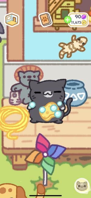 Làm quen thêm mèo mới