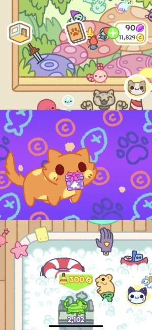 Các chú mèo tha về nhà đủ những thứ kỳ quặc