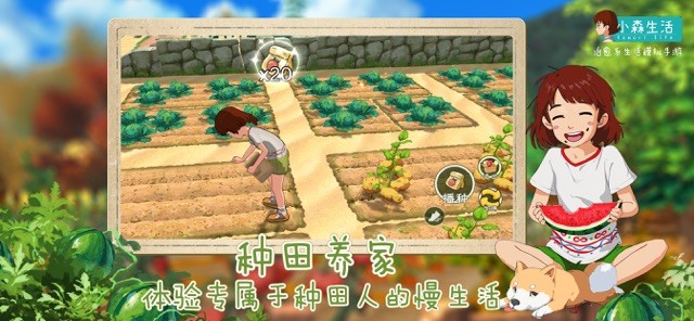 Trồng trọt các loài cây và thu hoạch